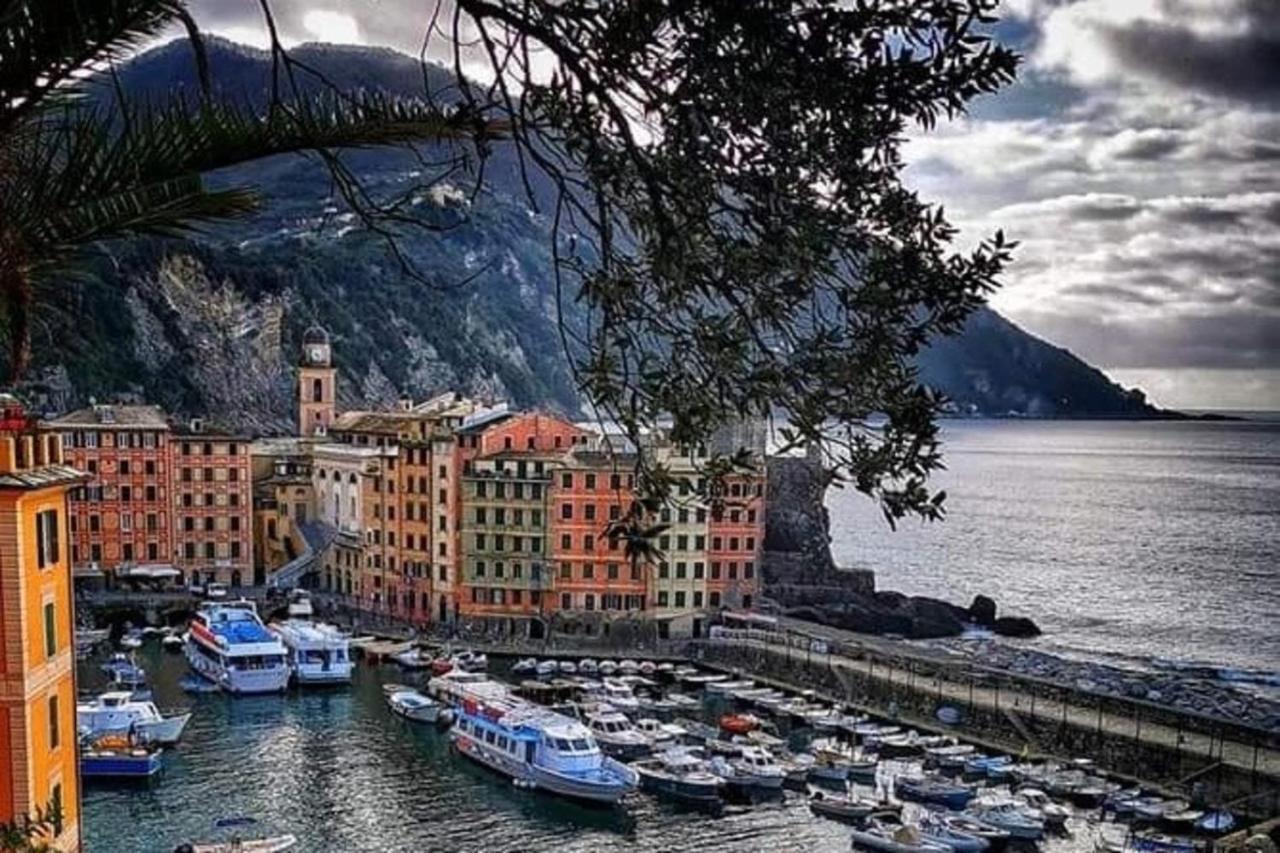 Rosablu Vacanza Tra Mare E Parco Di Portofino คาโมยลี ภายนอก รูปภาพ