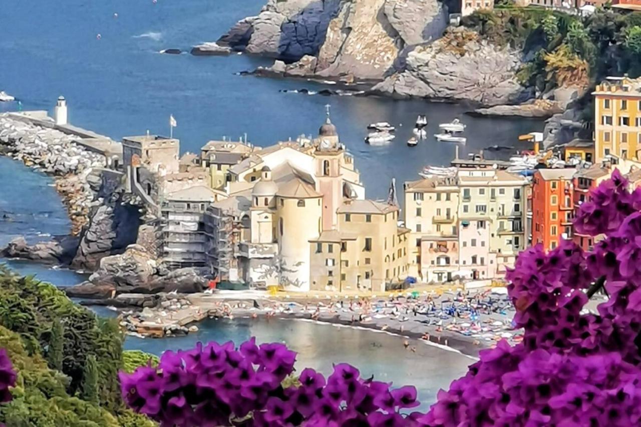 Rosablu Vacanza Tra Mare E Parco Di Portofino คาโมยลี ภายนอก รูปภาพ