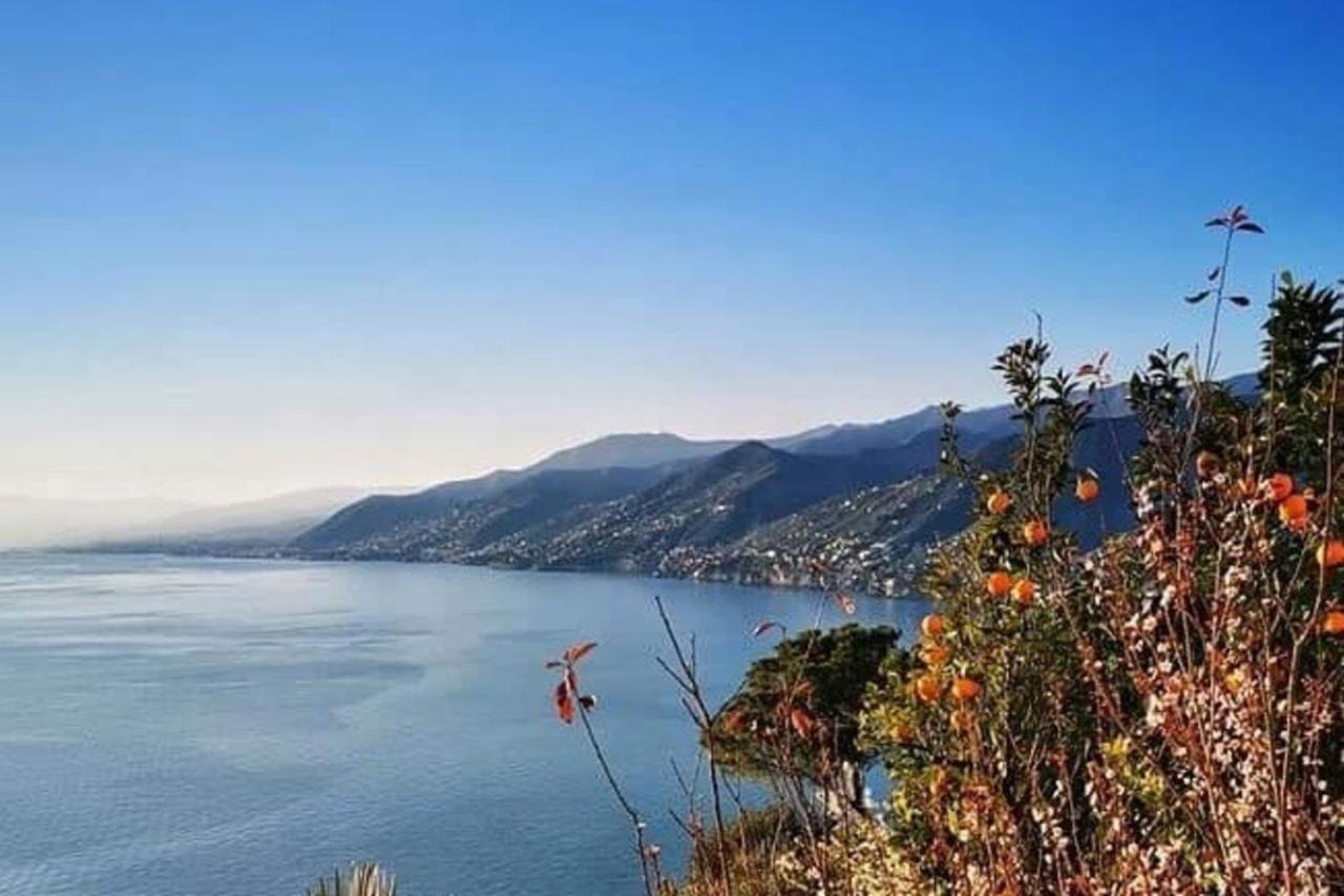 Rosablu Vacanza Tra Mare E Parco Di Portofino คาโมยลี ภายนอก รูปภาพ