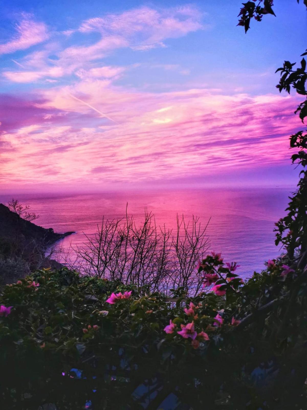 Rosablu Vacanza Tra Mare E Parco Di Portofino คาโมยลี ภายนอก รูปภาพ